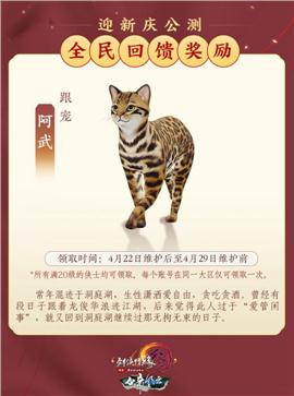 天龙八部私服属性页面
